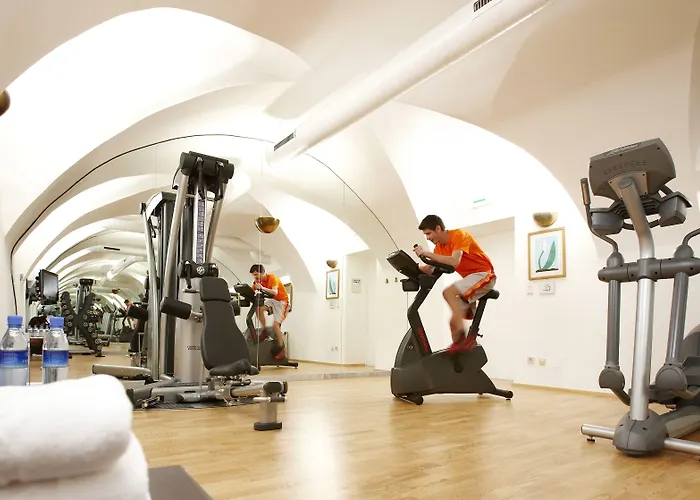 Schlossberghotel 5* גראץ